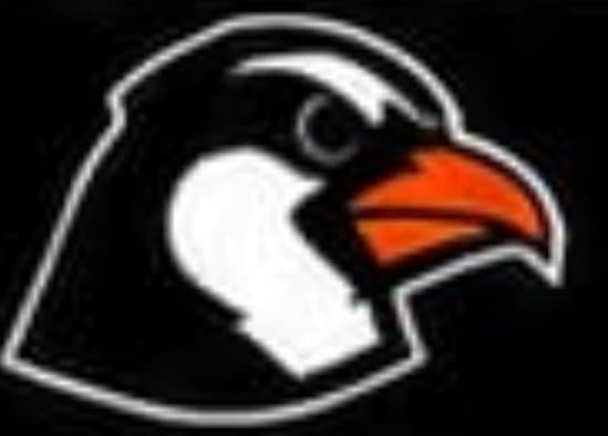 Pingüino